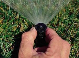 a McKinney TX Sprinkler Repair team member hand adjust a pop up head