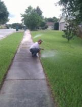 a McKinney Sprinkler Repair tech adjusts a pop up head